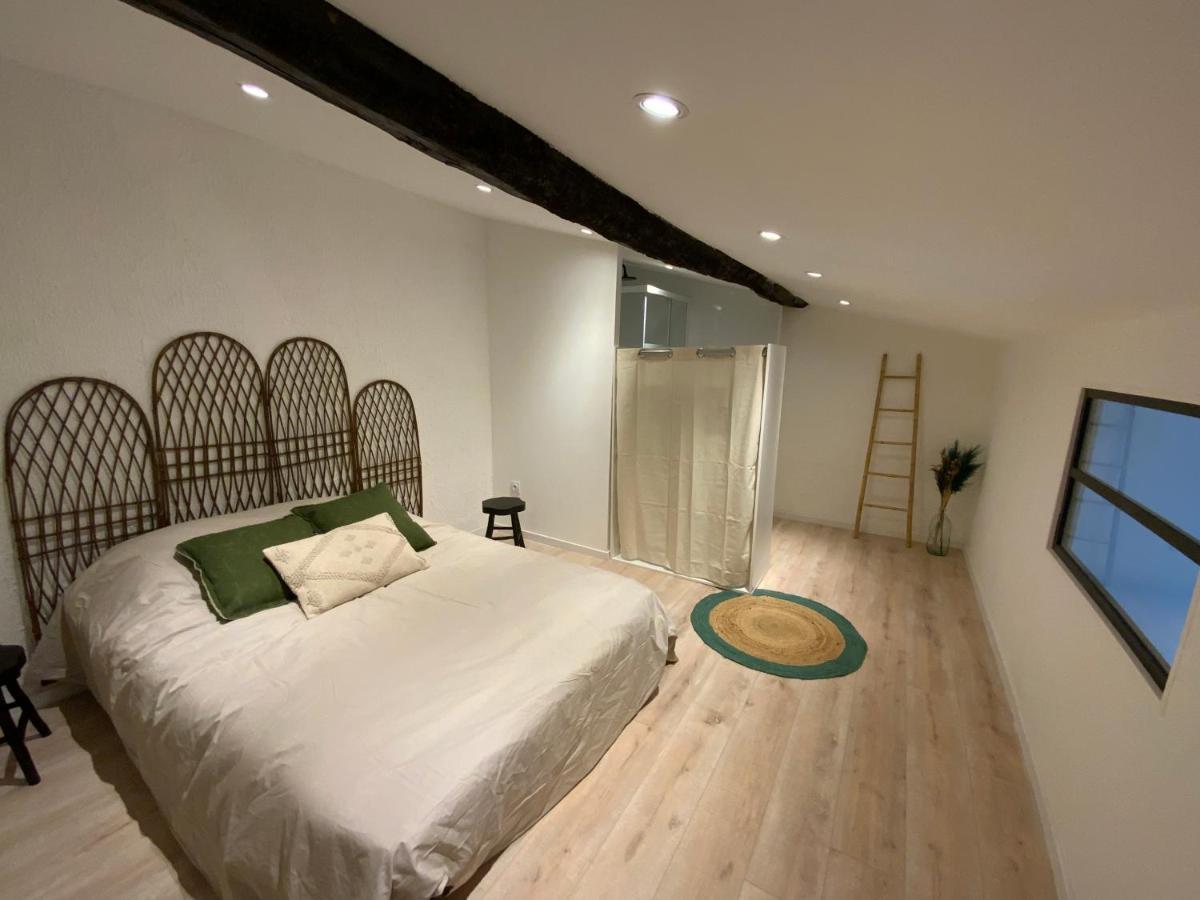 Tres Bel Appartement Refait A Neuf Perpignan Zewnętrze zdjęcie